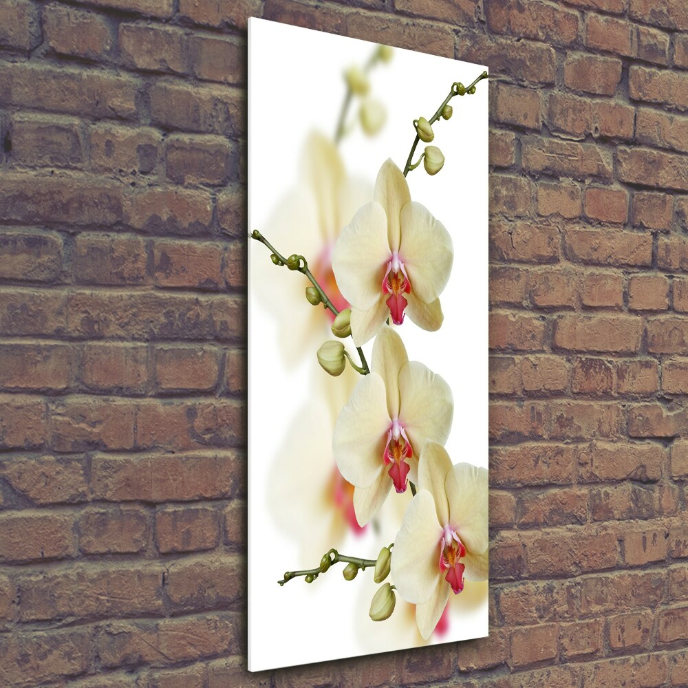 Foto-obraz szkło hartowane pionowy Orchidea