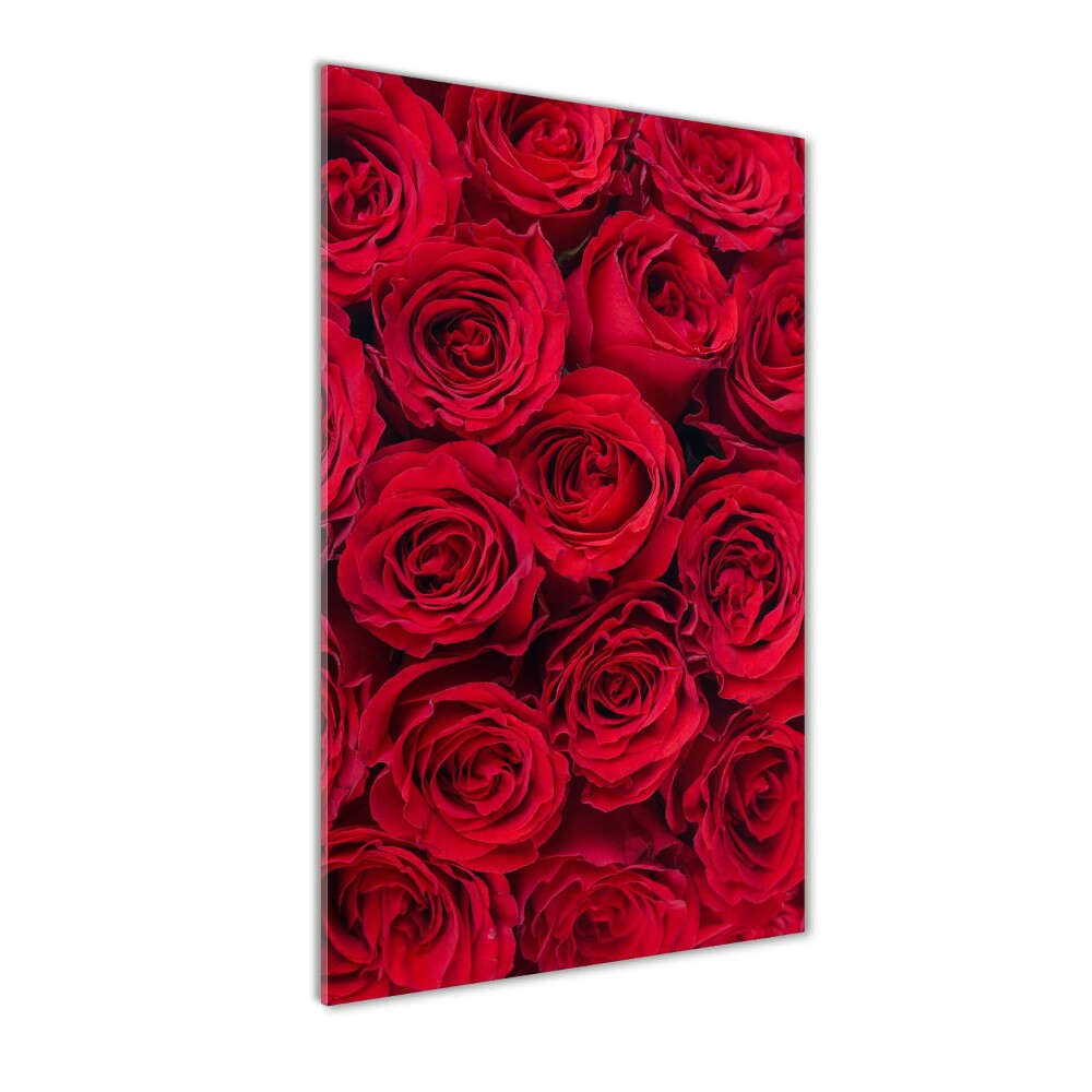 Foto obraz szkło hartowane pionowy Czerwone róża