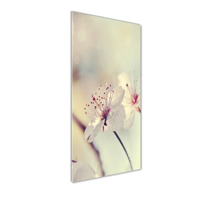 Foto obraz szkło hartowane pionowy Kwiaty wiśni