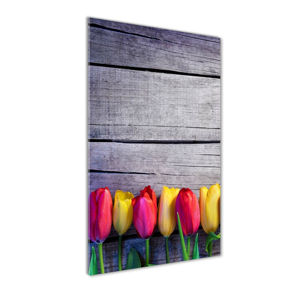 Foto obraz na szkle pionowy Kolorowe tulipany