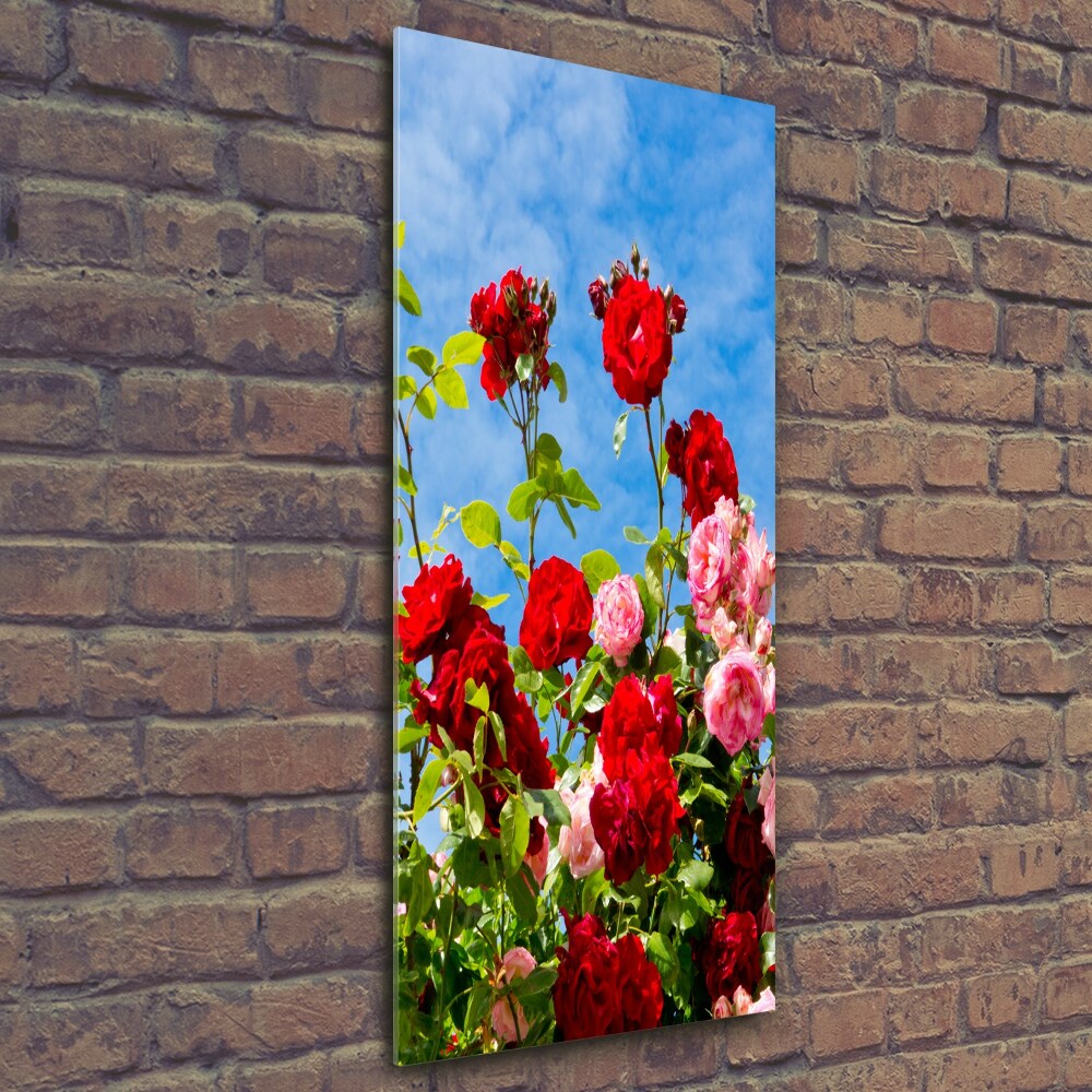 Foto obraz szkło hartowane pionowy Dzika róża
