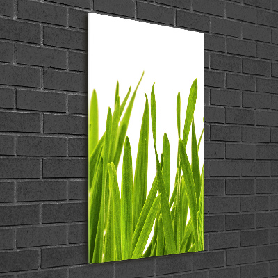 Foto obraz szkło hartowane pionowy Zielona trawa