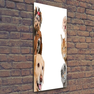 Foto-obraz szkło hartowane pionowy Psy i koty