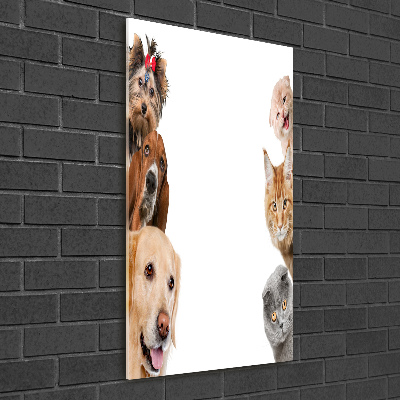 Foto-obraz szkło hartowane pionowy Psy i koty