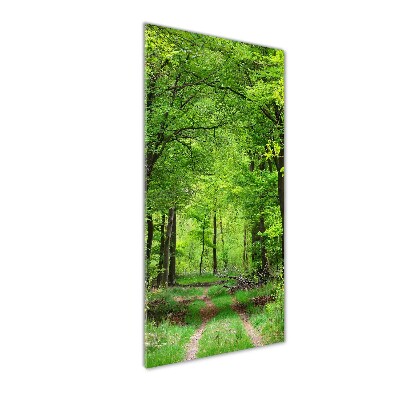 Foto obraz szkło hartowane pionowy Zielony las
