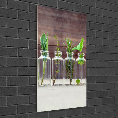 Foto obraz szklany pionowy Zioła w słoikach