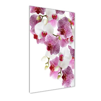 Foto-obraz szkło hartowane pionowy Orchidea