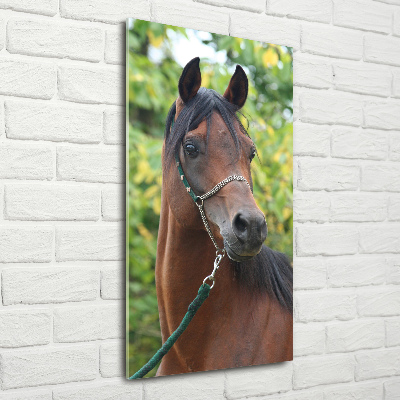 Foto obraz szkło hartowane pionowy Portret konia