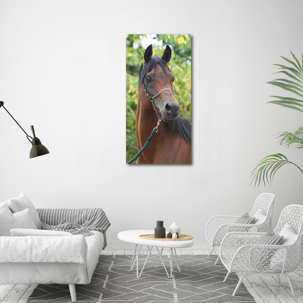 Foto obraz szkło hartowane pionowy Portret konia