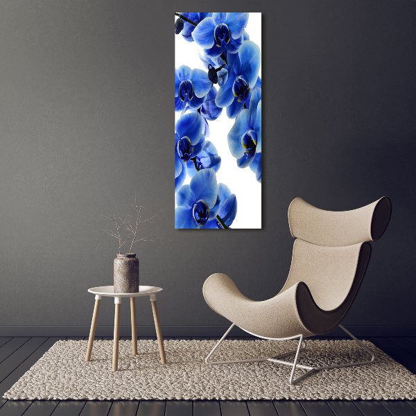 Foto obraz na szkle pionowy Niebieska orchidea