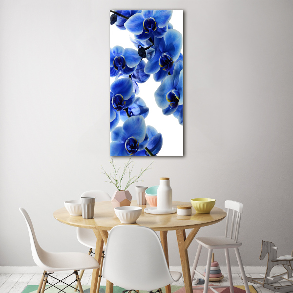 Foto obraz na szkle pionowy Niebieska orchidea
