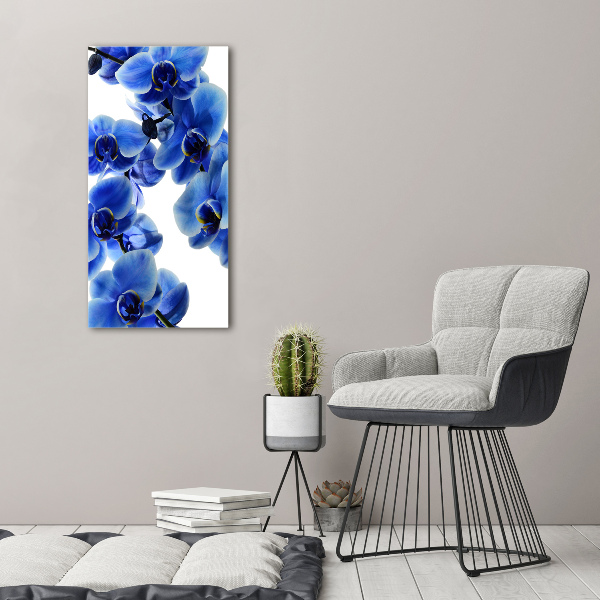 Foto obraz na szkle pionowy Niebieska orchidea