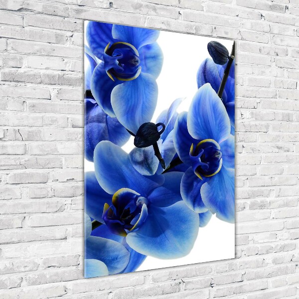 Foto obraz na szkle pionowy Niebieska orchidea