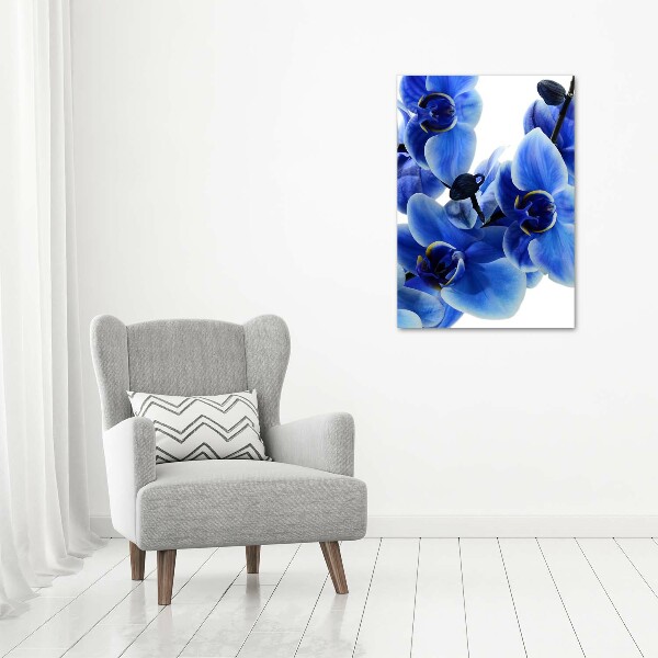 Foto obraz na szkle pionowy Niebieska orchidea