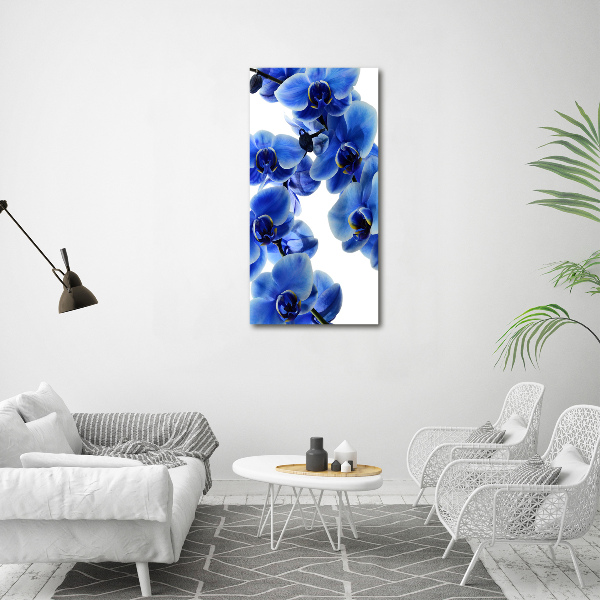 Foto obraz na szkle pionowy Niebieska orchidea