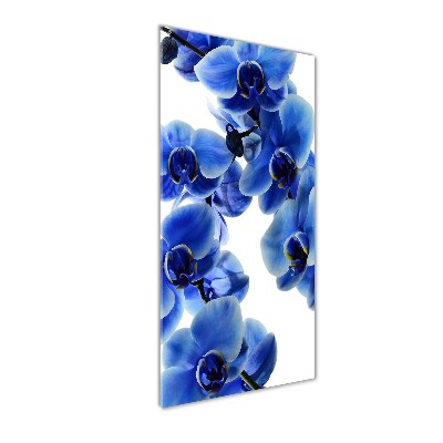 Foto obraz na szkle pionowy Niebieska orchidea