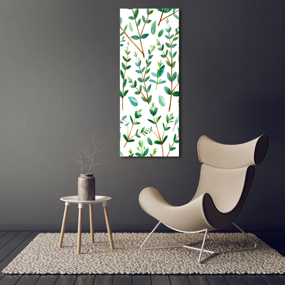 Foto obraz na szkle pionowy Gałązki eukaliptusa