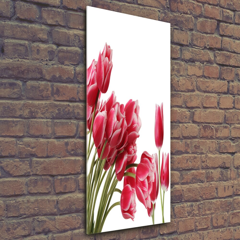 Foto obraz na szkle pionowy Czerwone tulipany