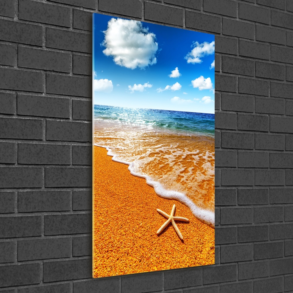 Foto obraz na szkle pionowy Rozgwiazda na plaży