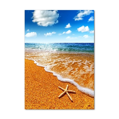 Foto obraz na szkle pionowy Rozgwiazda na plaży