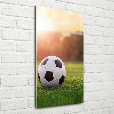 Foto obraz szkło hartowane pionowy Piłka nożna