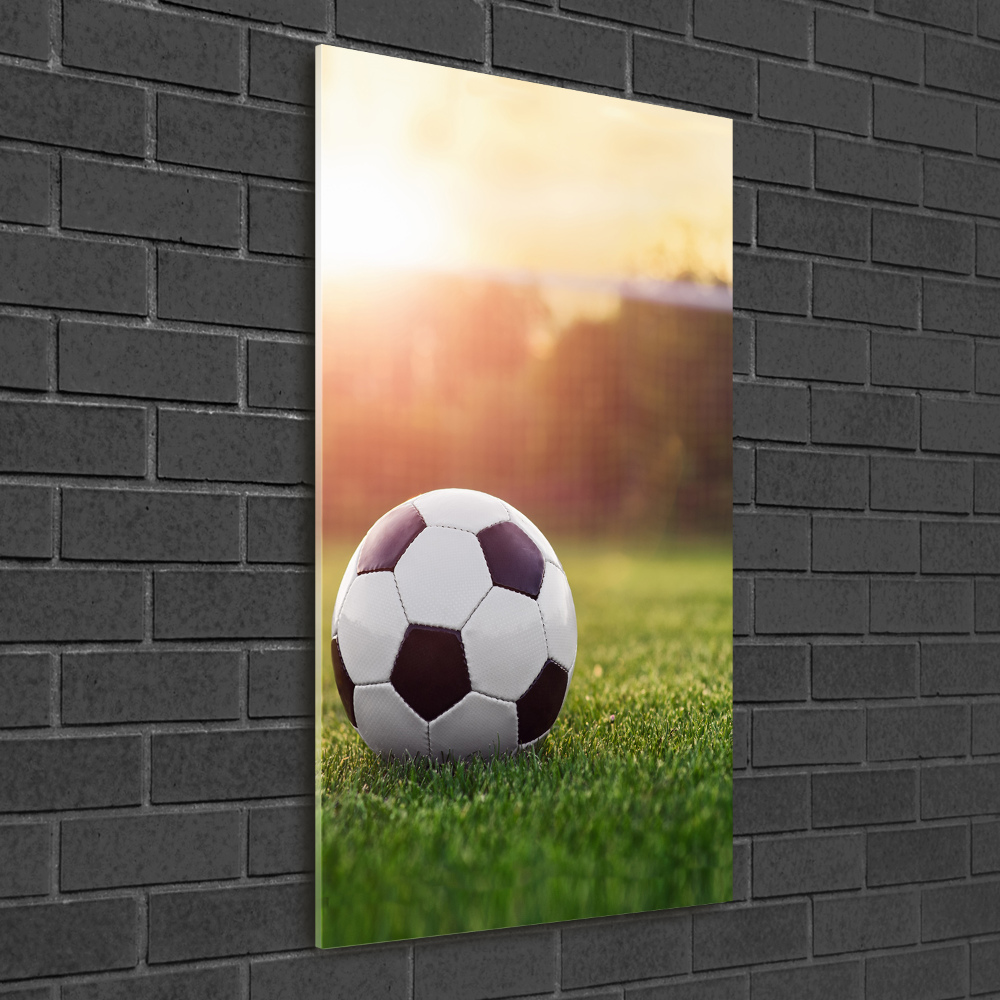 Foto obraz szkło hartowane pionowy Piłka nożna