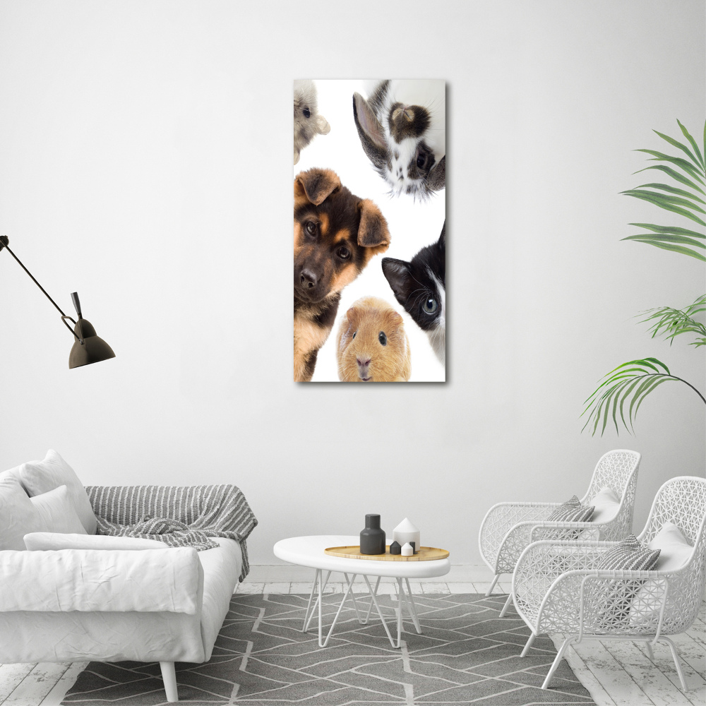 Foto obraz szklany pionowy Zwierzęta domowe
