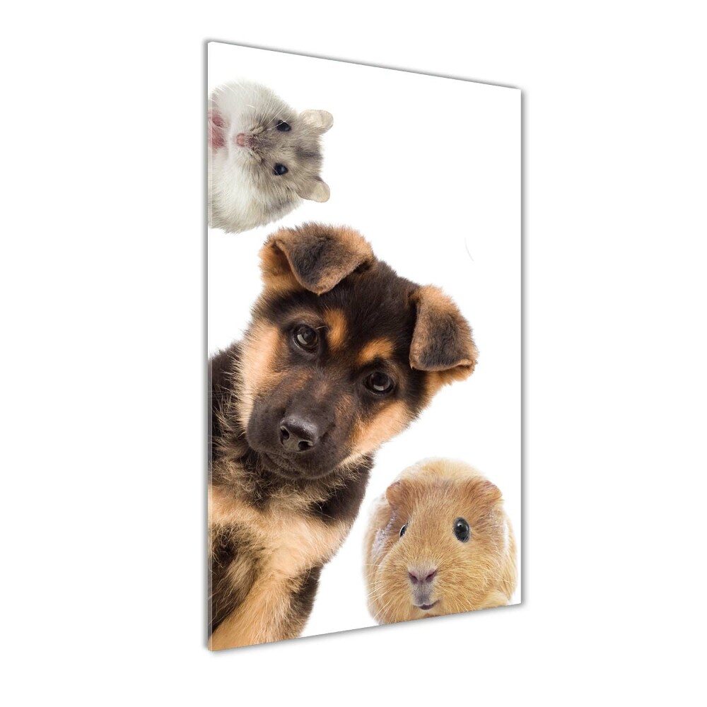 Foto obraz szklany pionowy Zwierzęta domowe