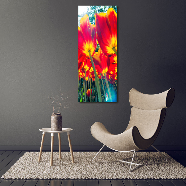 Foto obraz na szkle pionowy Czerwone tulipany