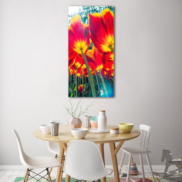 Foto obraz na szkle pionowy Czerwone tulipany