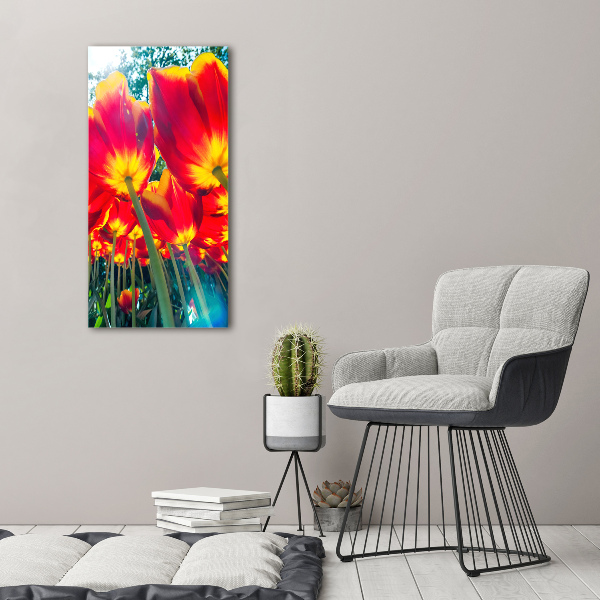 Foto obraz na szkle pionowy Czerwone tulipany
