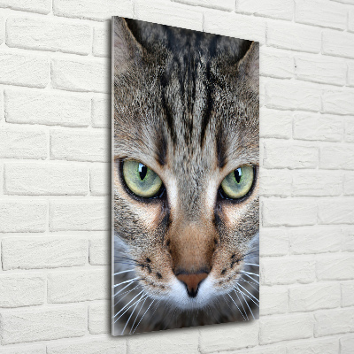 Foto obraz szkło hartowane pionowy Oczy kota