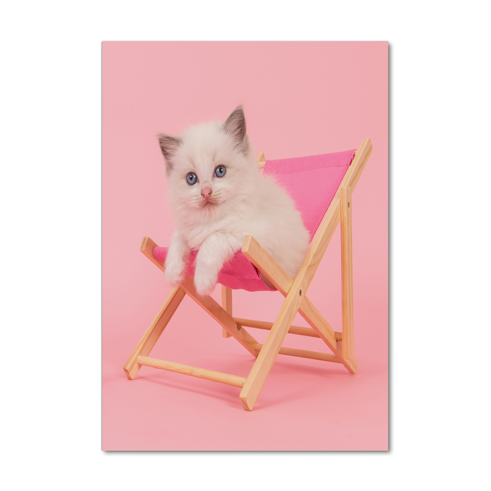 Foto obraz szkło hartowane pionowy Kot na leżaku