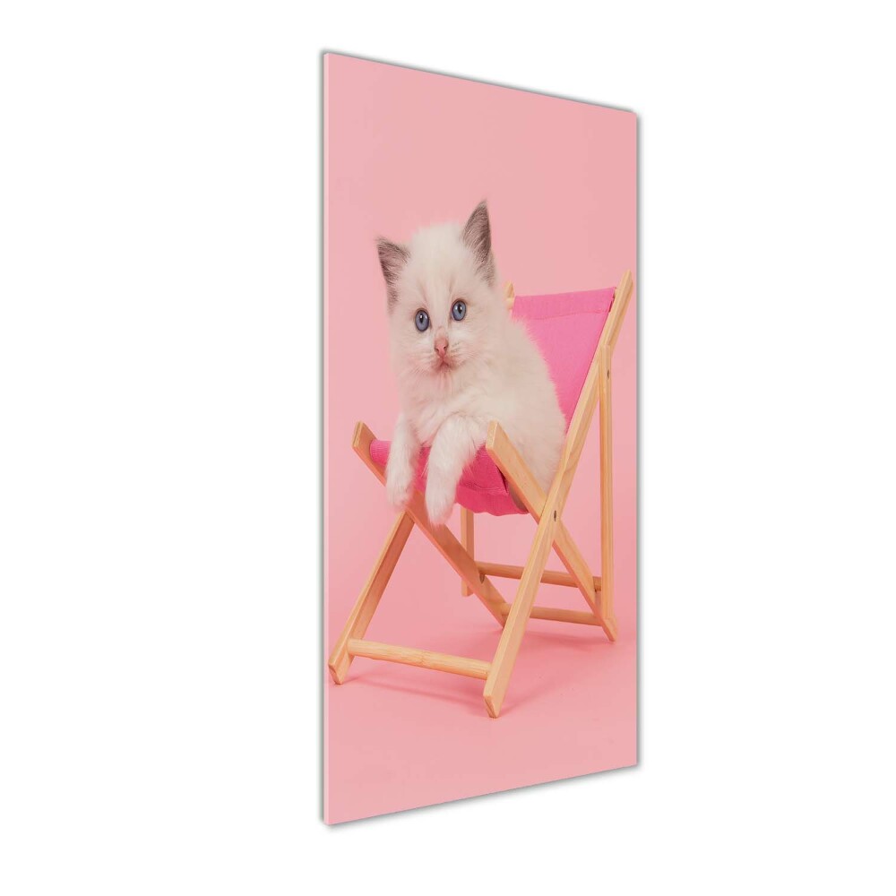 Foto obraz szkło hartowane pionowy Kot na leżaku