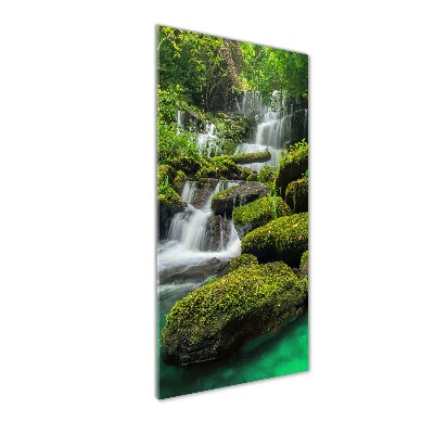 Foto obraz na szkle pionowy Wodospad w dżungli