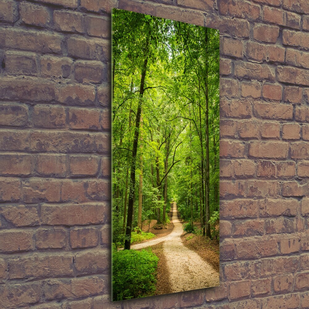 Foto obraz na szkle pionowy Ścieżka w lesie