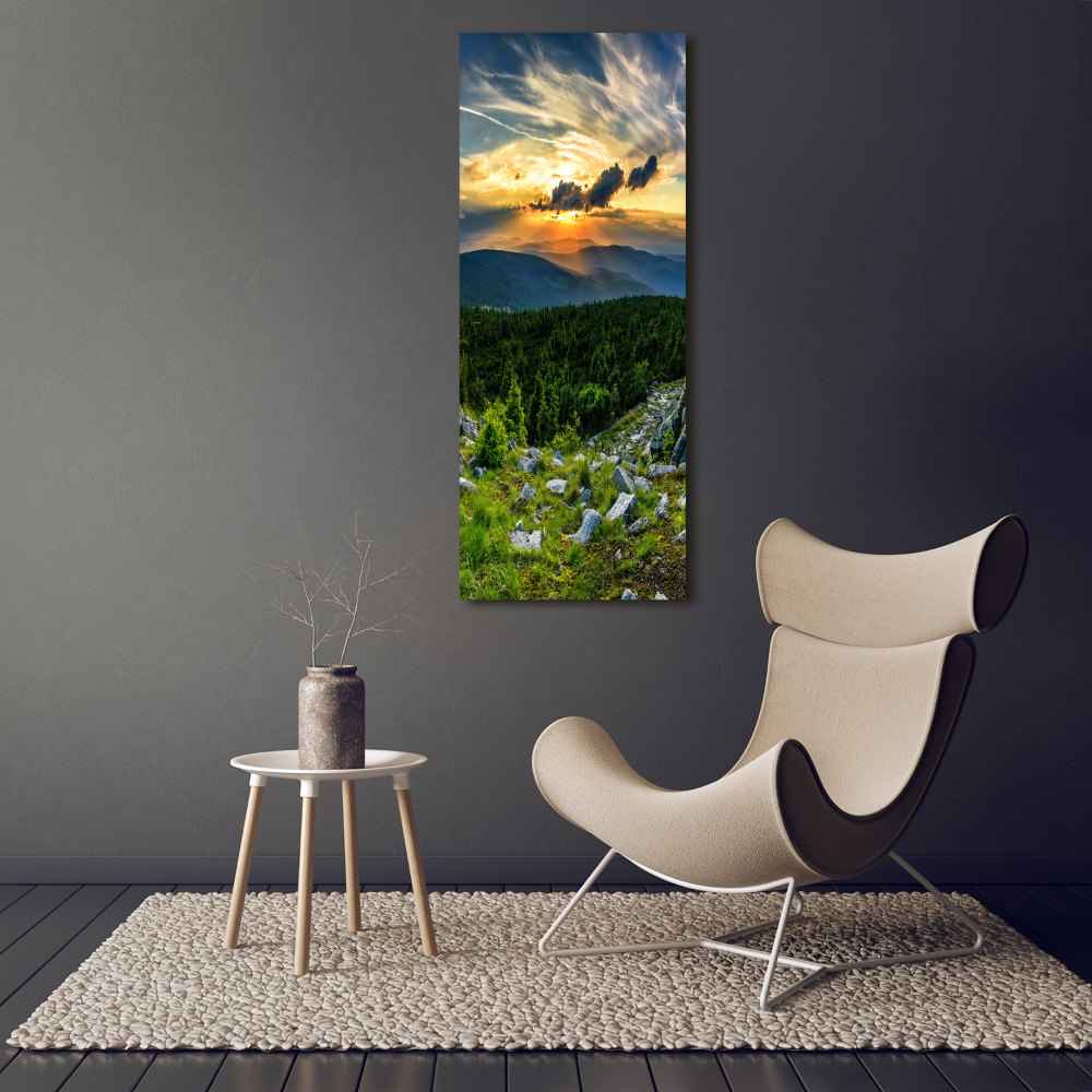 Foto obraz szkło hartowane pionowy Panorama gór