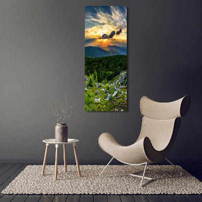 Foto obraz szkło hartowane pionowy Panorama gór