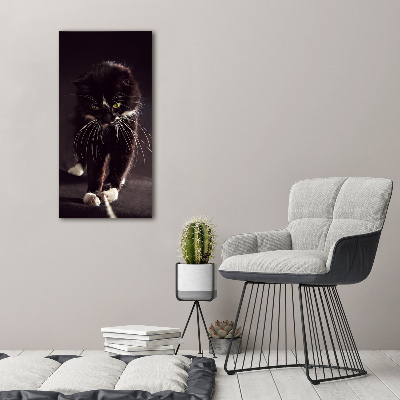 Foto obraz szkło hartowane pionowy Czarny kot