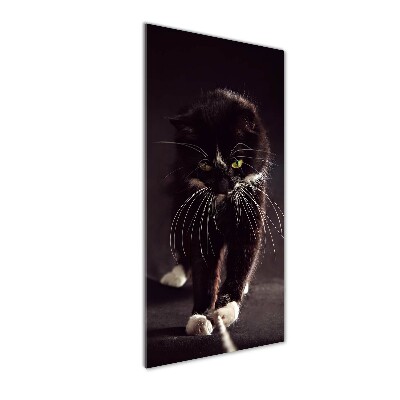 Foto obraz szkło hartowane pionowy Czarny kot