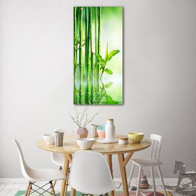 Foto obraz na szkle pionowy Bambus w wodzie