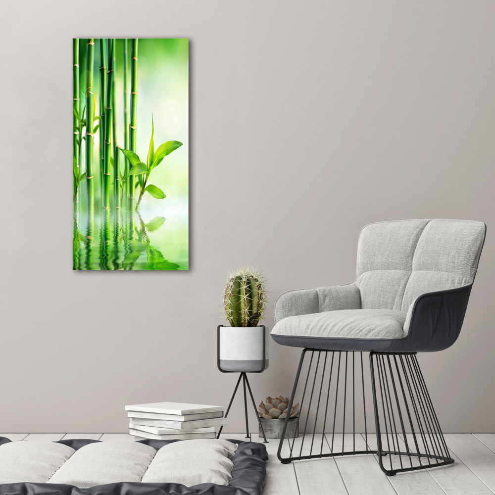 Foto obraz na szkle pionowy Bambus w wodzie