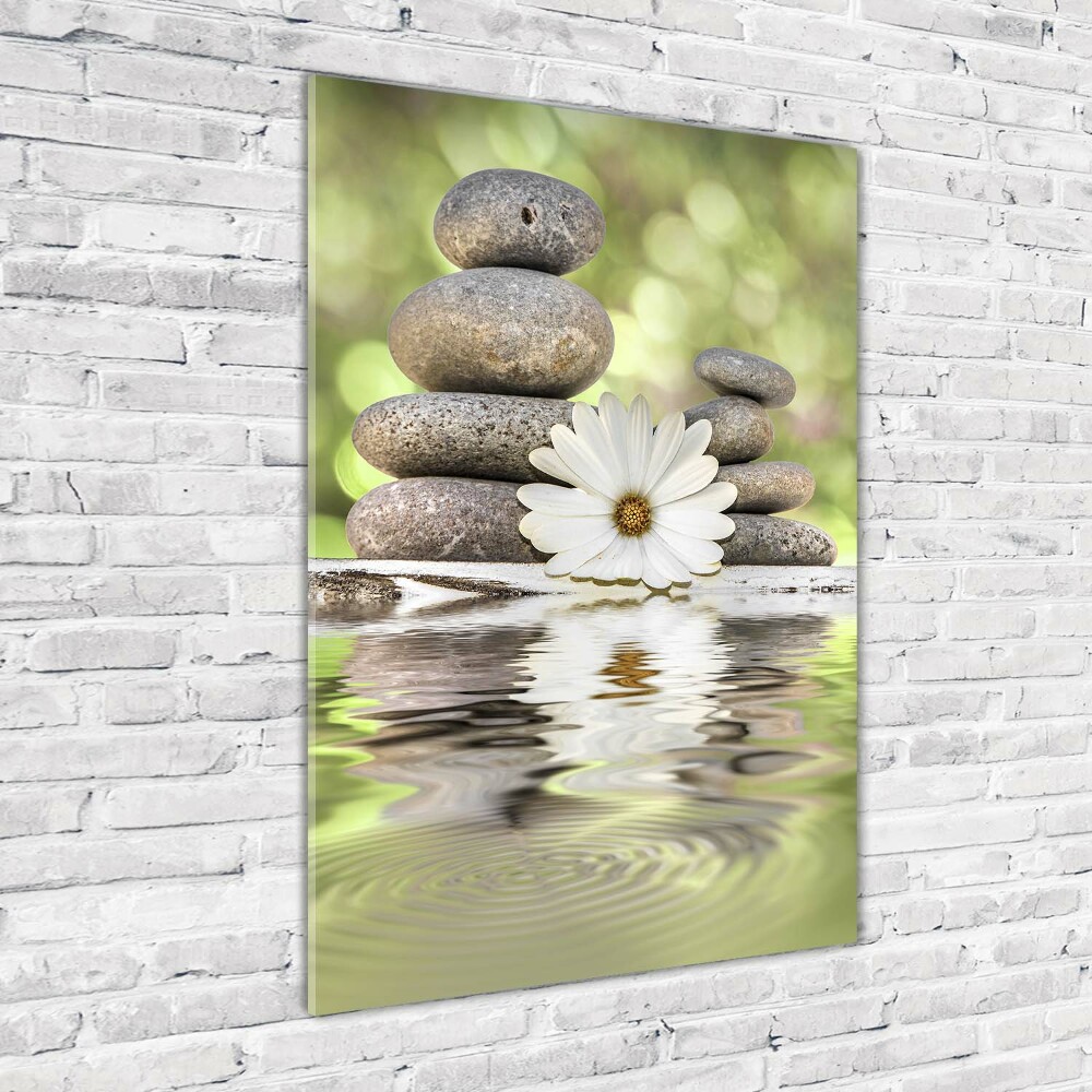 Foto obraz szklany pionowy Kamienie i kwiat