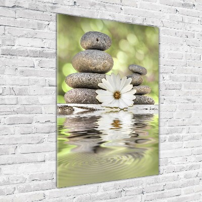 Foto obraz szklany pionowy Kamienie i kwiat