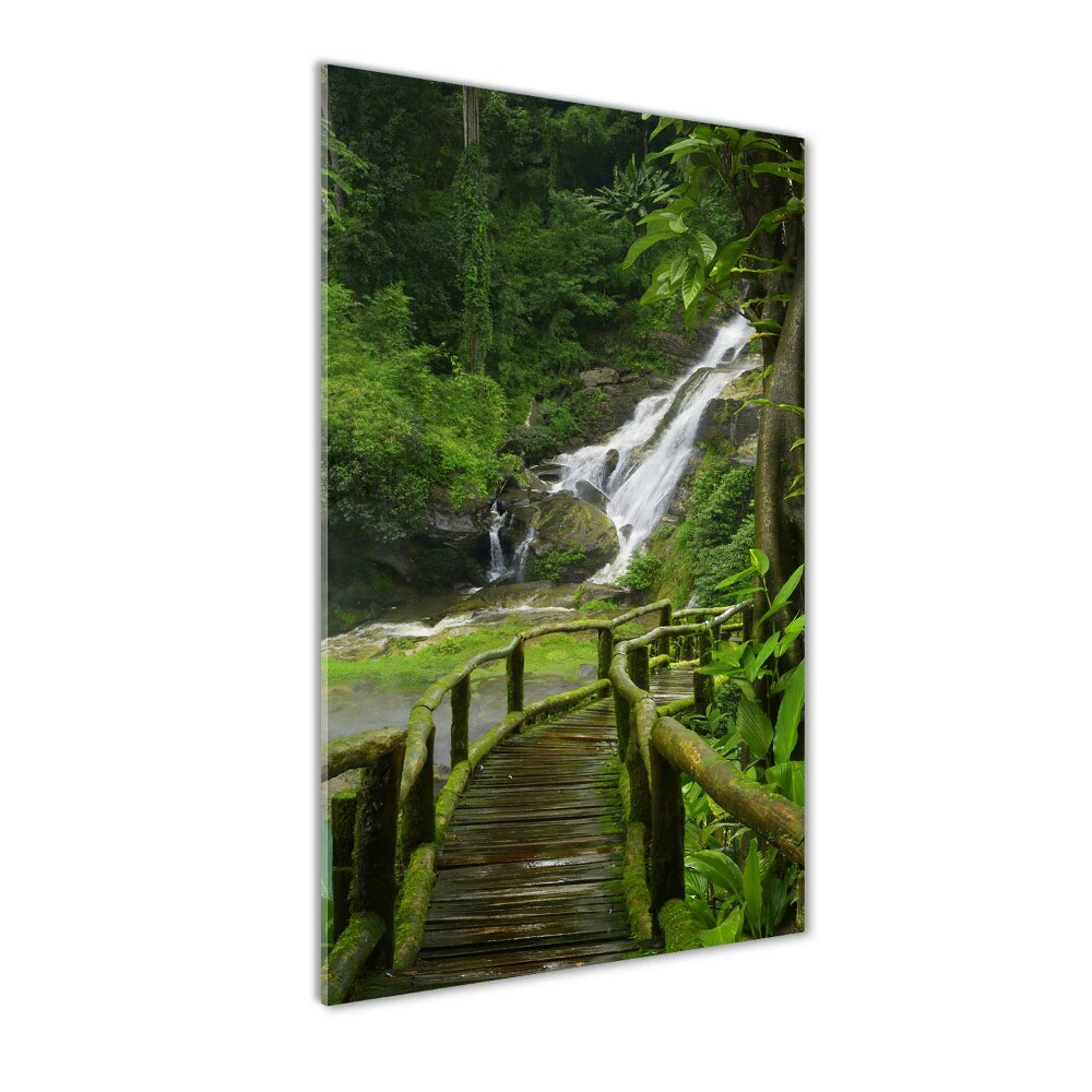 Foto obraz na szkle pionowy Ścieżka w dżungli