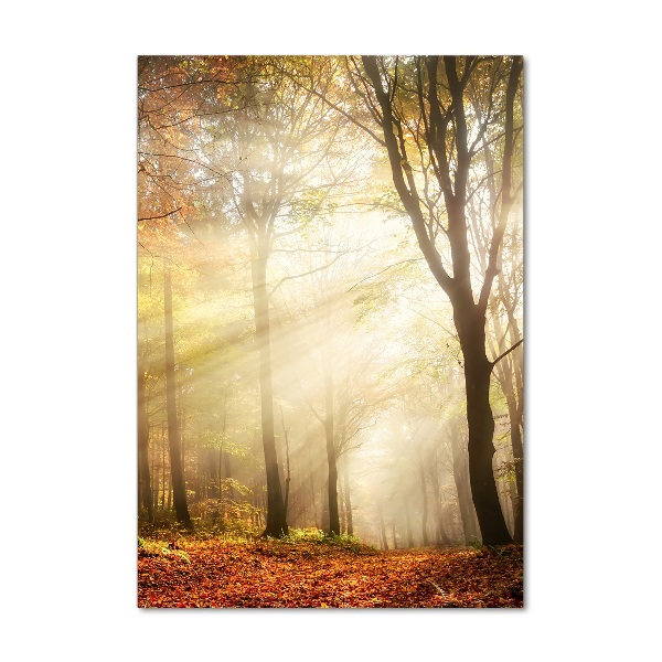 Foto obraz szkło hartowane pionowy Las jesienią