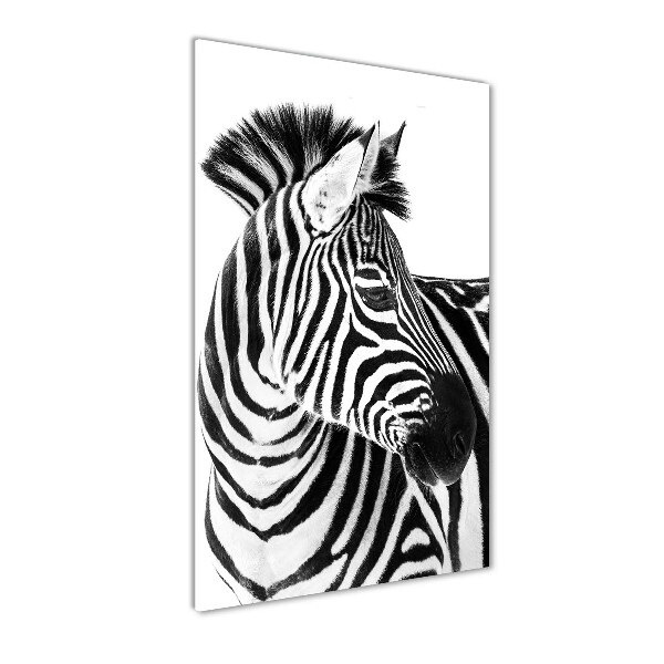 Foto obraz zdjęcie na szkle pionowy Zebra w śniegu
