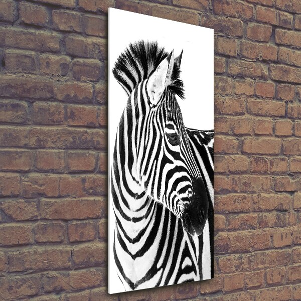 Foto obraz zdjęcie na szkle pionowy Zebra w śniegu