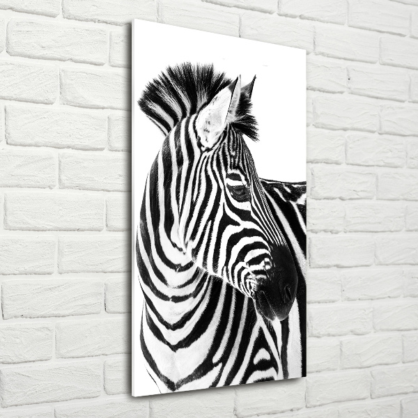 Foto obraz zdjęcie na szkle pionowy Zebra w śniegu