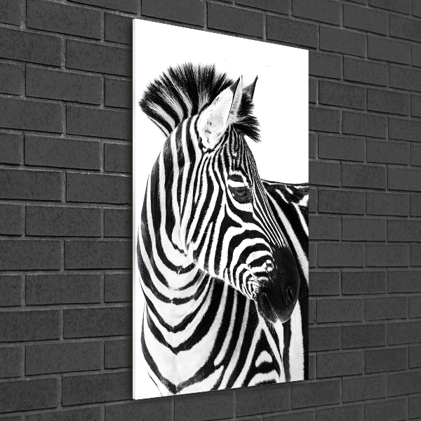 Foto obraz zdjęcie na szkle pionowy Zebra w śniegu